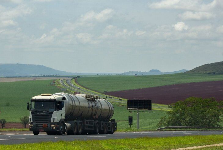 Distribuição de picolés: guia passo a passo para revendedores